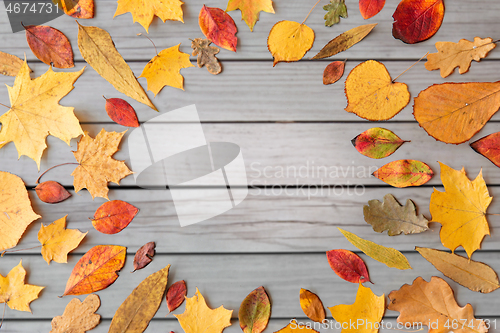 Image of round frame of different dry fallen autumn leaves