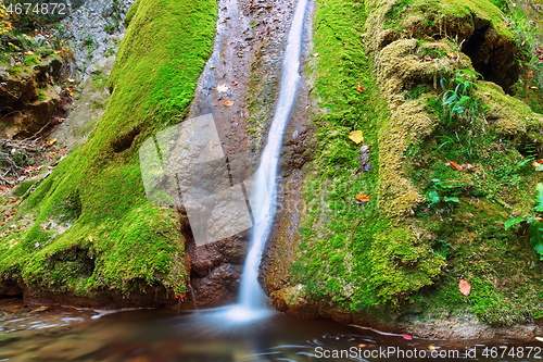 Image of Susara waterfall flowing over mossy rock