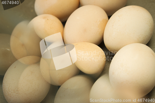 Image of Double expossure eggs