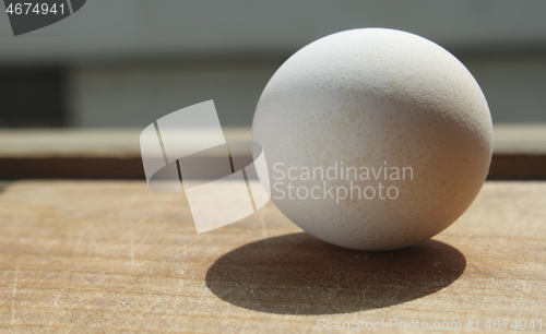 Image of Egg on wooden board