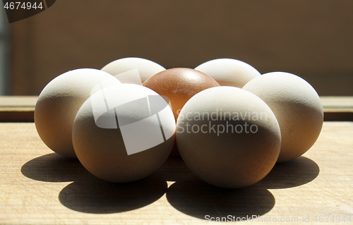 Image of Egg flower on board