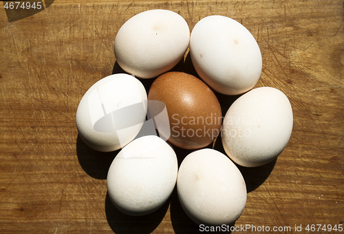 Image of Egg flower on board