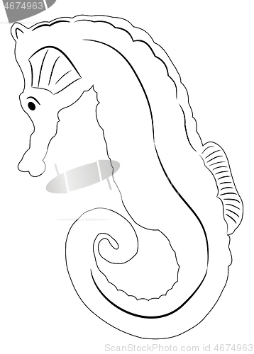 Image of Sea horse illustration