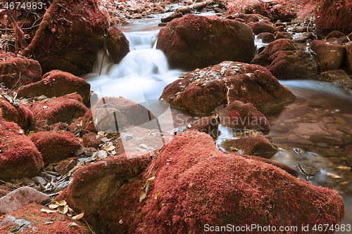 Image of mountain stream detail in Apuseni mountains