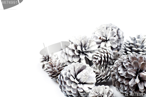 Image of White decorative pine cones closeup on a white background.