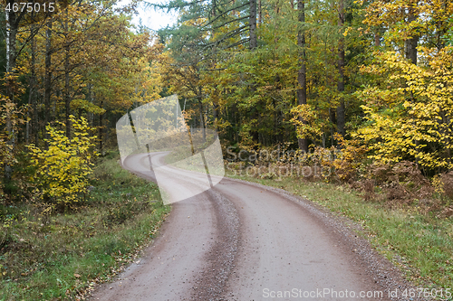 Image of Curved gravel road in a fall colored forest