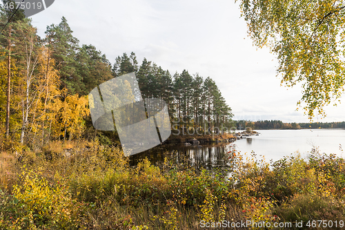 Image of Tranquil lake view in fall colors