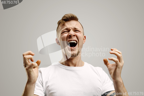 Image of The young emotional angry man screaming on garay studio background