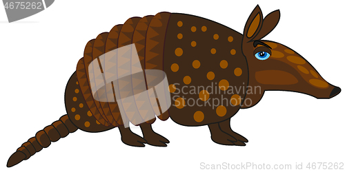 Image of Animal armadillo on white background is insulated