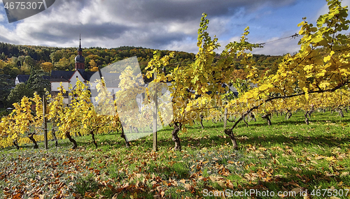 Image of Monastery Ebersbach in autumn