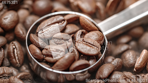 Image of Close up of seeds of coffee. Fragrant coffee beans are roasted s