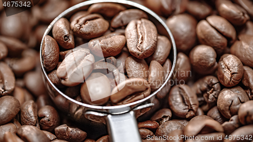 Image of Close up of seeds of coffee. Fragrant coffee beans are roasted s