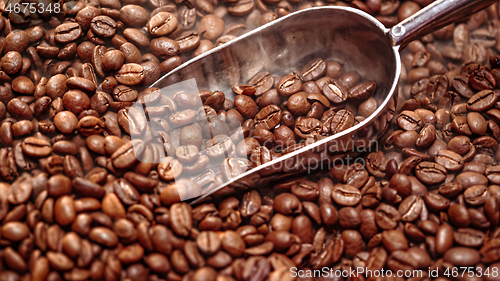 Image of Close up of seeds of coffee. Fragrant coffee beans are roasted s