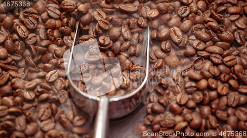 Image of Close up of seeds of coffee. Fragrant coffee beans are roasted s