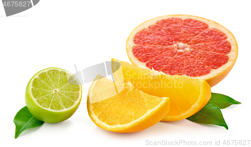 Image of various citrus fruits