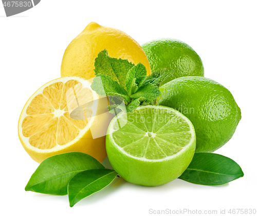 Image of citrus fruits and mint 