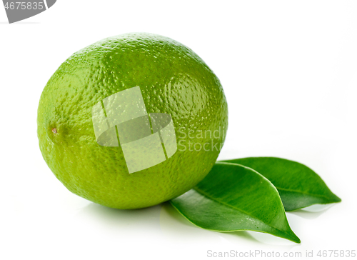 Image of fresh ripe lime