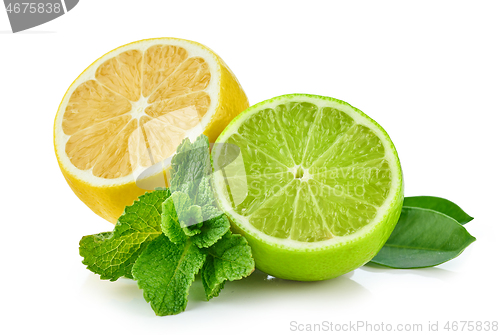 Image of lemon, lime and mint