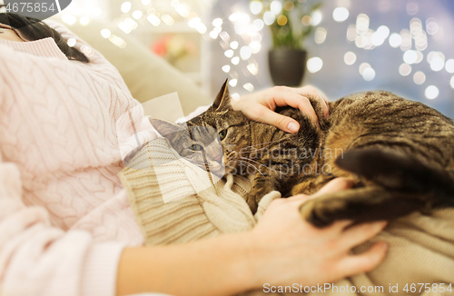 Image of close up of owner with tabby cat in bed at home