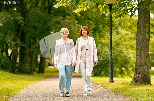 Image of senior women or friends walking along summer park