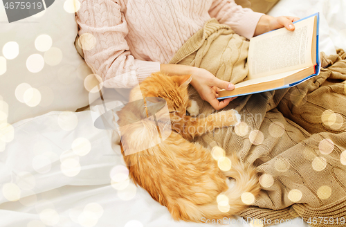 Image of red cat and female owner reading book at home