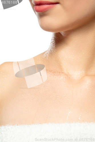 Image of Beautiful female collarbones isolated on white background. Beauty, cosmetics, spa, depilation, diet, treatment and fitness concept