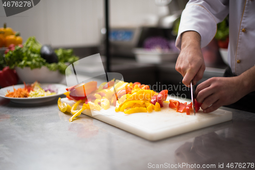 Image of Chef cutting fresh and delicious vegetables