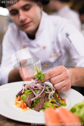 Image of cook chef decorating garnishing prepared meal