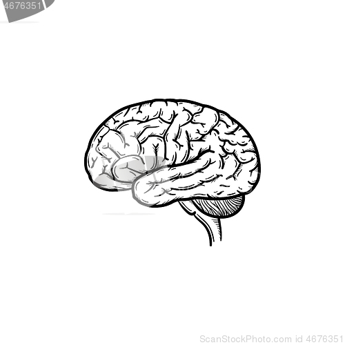 Image of Human brain hand drawn outline doodle icon.