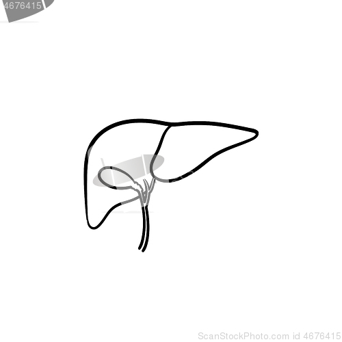 Image of Human liver hand drawn outline doodle icon.