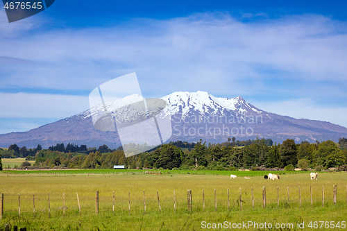 Image of Mount Ruapehu volcano in New Zealand