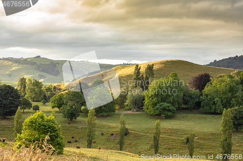 Image of typical rural landscape in New Zealand