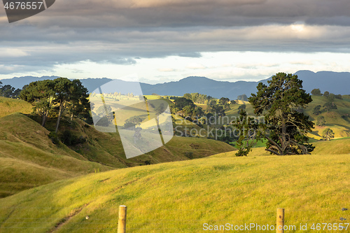 Image of typical rural landscape in New Zealand