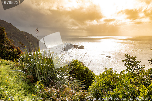 Image of rough coast at New Zealand south