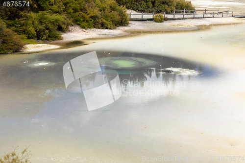 Image of geothermal activity at Rotorua in New Zealand