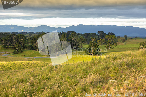 Image of typical rural landscape in New Zealand