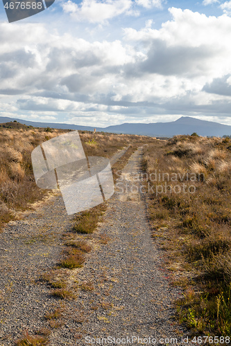 Image of typical rural landscape in New Zealand