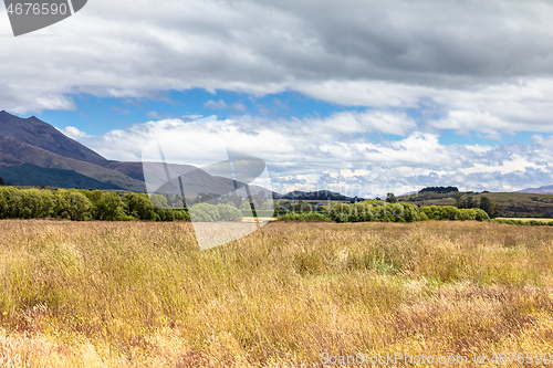 Image of Landscape scenery in south New Zealand