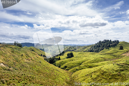 Image of typical rural landscape in New Zealand