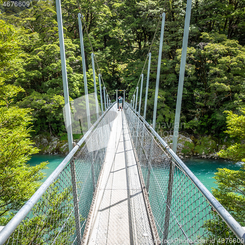 Image of Haast River Landsborough Valley New Zealand