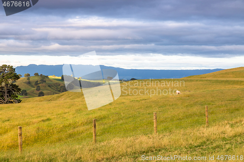 Image of sunset landscape New Zealand north island