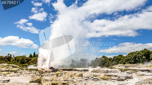 Image of Geyser in New Zealand Rotorua