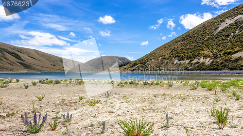 Image of Landscape scenery in south New Zealand