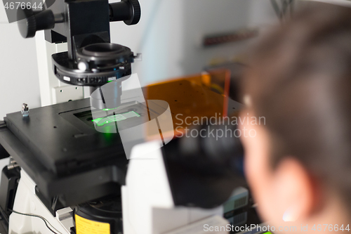 Image of Life science researcher microscoping in genetic scientific laboratory.