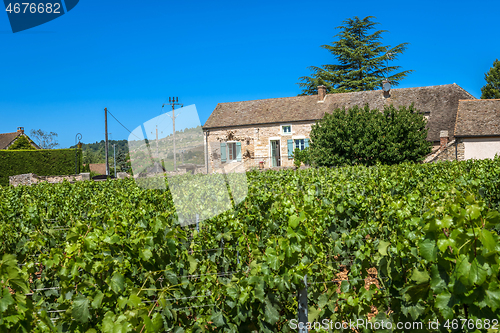 Image of MEURSAULT, BURGUNDY, FRANCE - JULY 9, 2020: View to the winery in Meursault, Burgundy, France