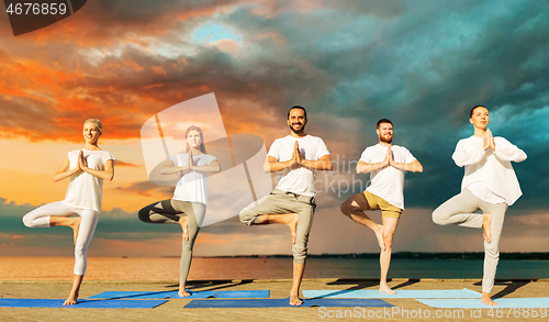 Image of people making yoga in tree pose on mat outdoors