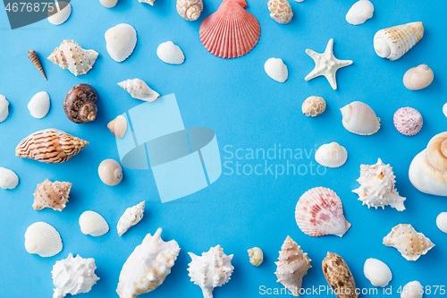 Image of frame of different sea shells on blue background