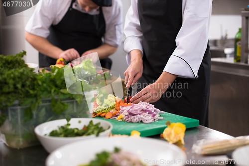 Image of team cooks and chefs preparing meals