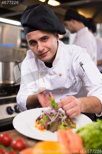 Image of cook chef decorating garnishing prepared meal