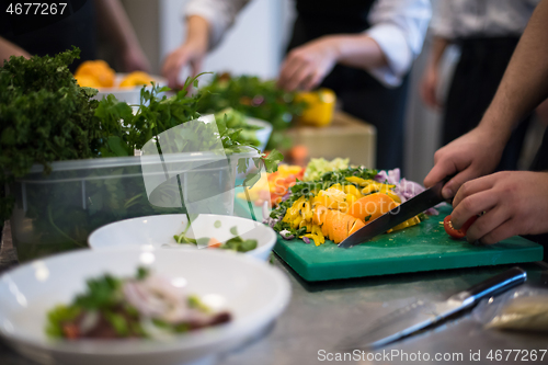 Image of team cooks and chefs preparing meals